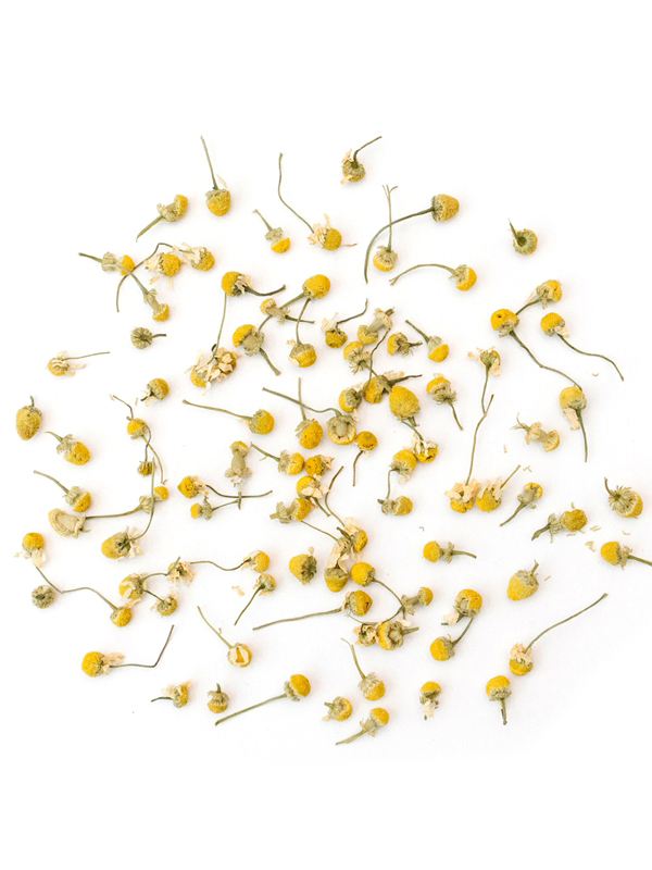 rhoeco organic chamomile 