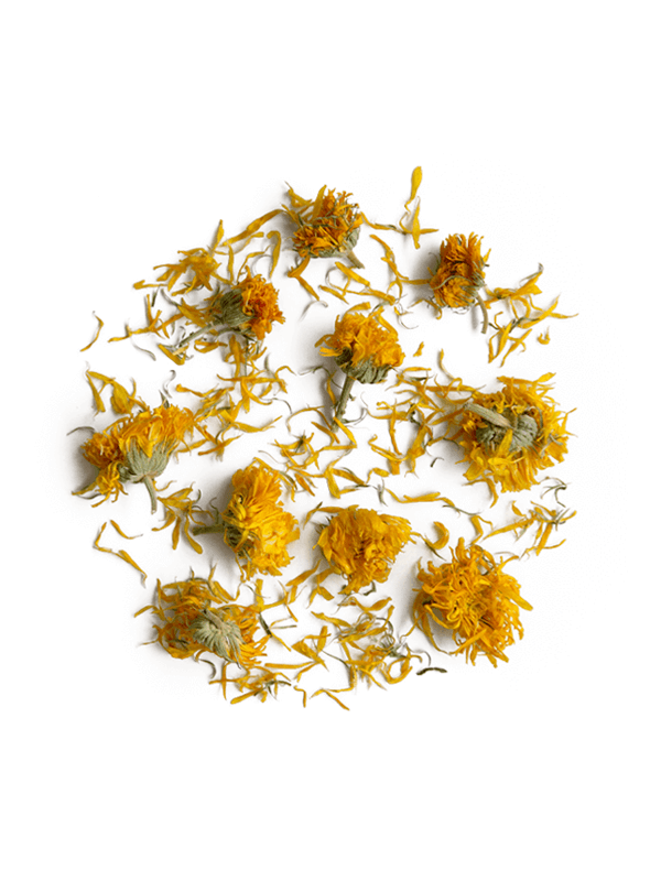 organic calendula flowers rhoeco marigold