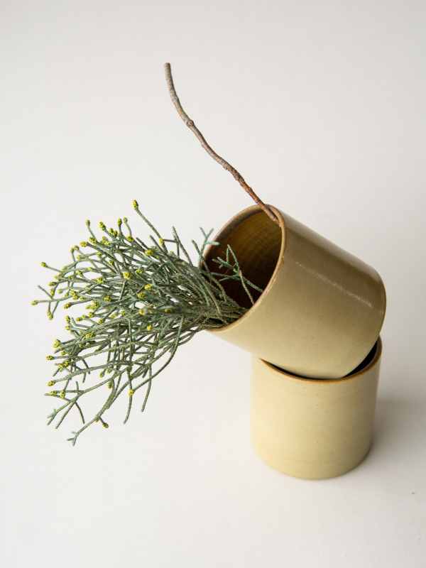 rhoeco the extravagant one gift bundle