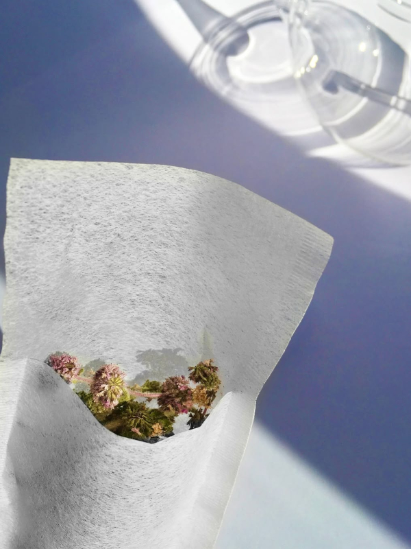 finum tea filters