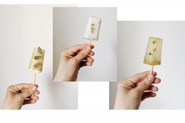 rhoeco herbal tea popsicles