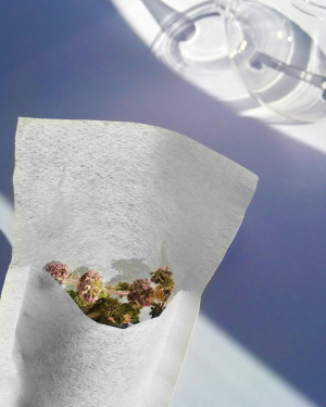 finum tea filter slim