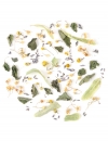 herbal tea blend loose leaf rhoeco herbs relax