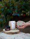 rhoeco x beeology by haredemos bee dance