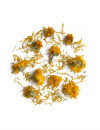 organic calendula flowers rhoeco marigold