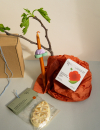 rhoeco easter bloom box