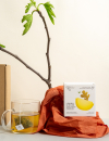 rhoeco easter sunlit box