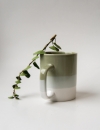 rhoeco kinta mug white celandon