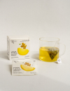 rhoeco-lemon ginger-compostable pyramids